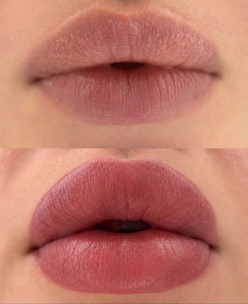Lip Blush — Healed before and after, Frenkel PMU House